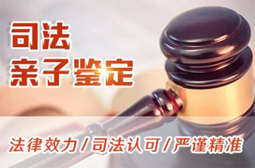 巴中司法DNA亲子鉴定流程,巴中司法亲子鉴定哪里做